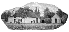 loc_corg_001